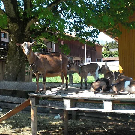 Vakantiehuis Familien-bauernhof-berghammer