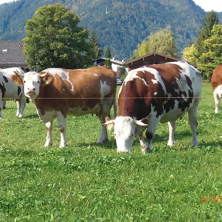 Familien-bauernhof-berghammer بيت للعطل Rotta